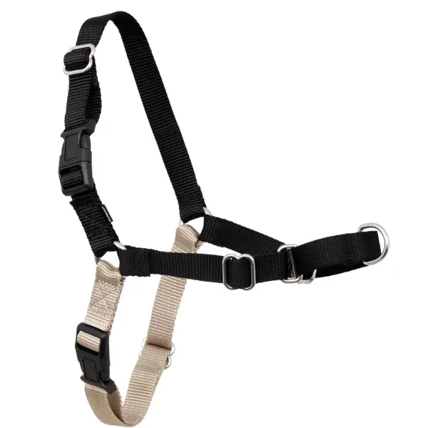 Petsafe Easy Walk Harness With Lead 1
