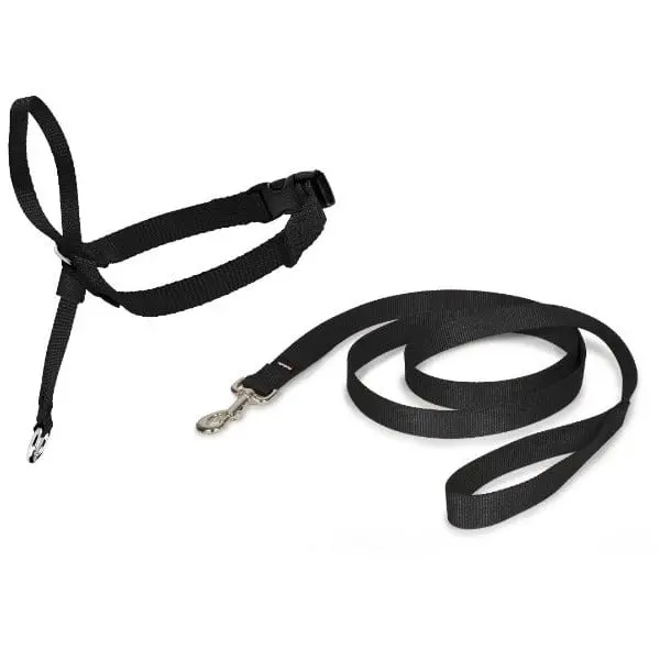 Petsafe Easy Walk Headcollar For Dogs 1