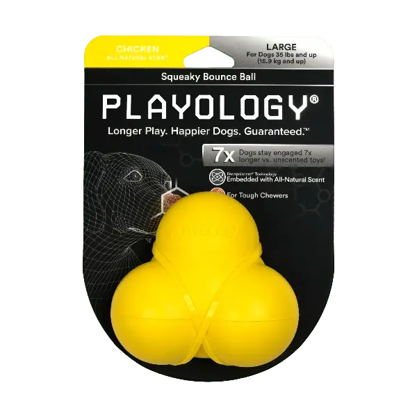 Playology Squeaky Bounce Ball 1