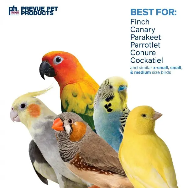 Prevue Pet Products Takeout Bird Toy 2