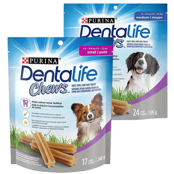 Dentalife Chews Daily Oral Care Dog Treats 1