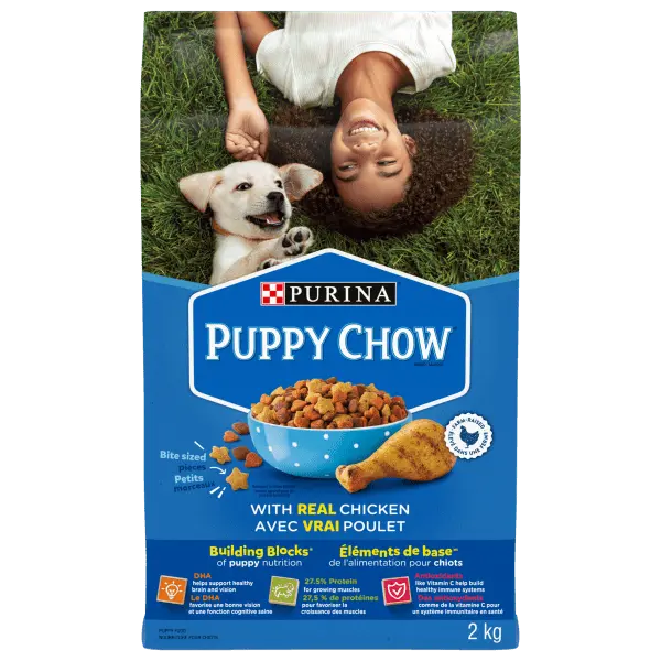 Purina Puppy Chow Dry Dog Food, 2Kg 1