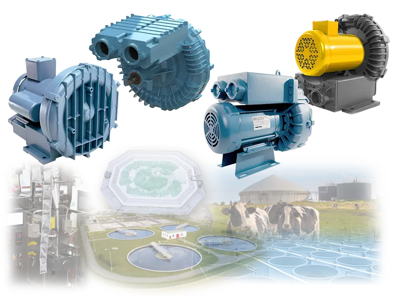 Rotron® Regenerative Blowers 1