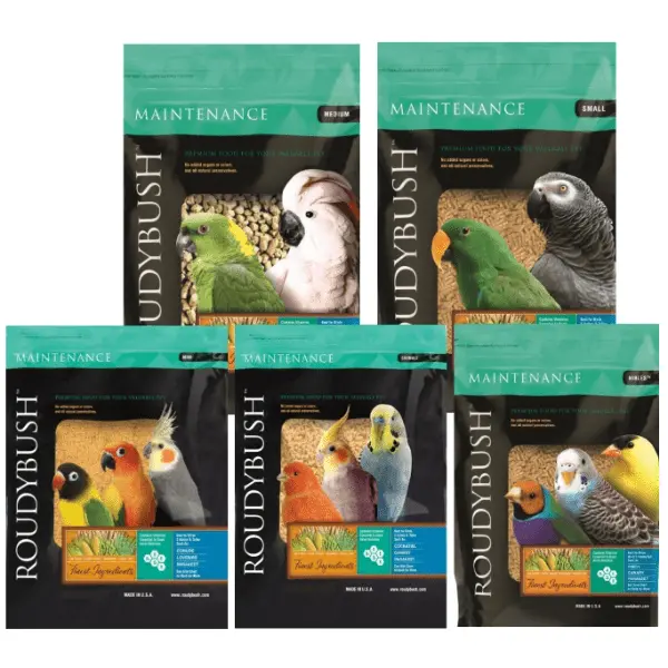 Roudybush Maintenance Bird Food; Different Sizes Available 1