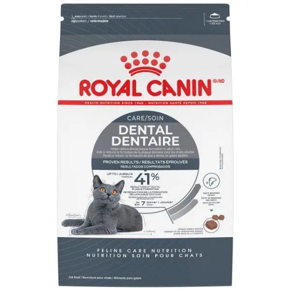 Royal Canin Dental Care Adult Dry Cat Food 1