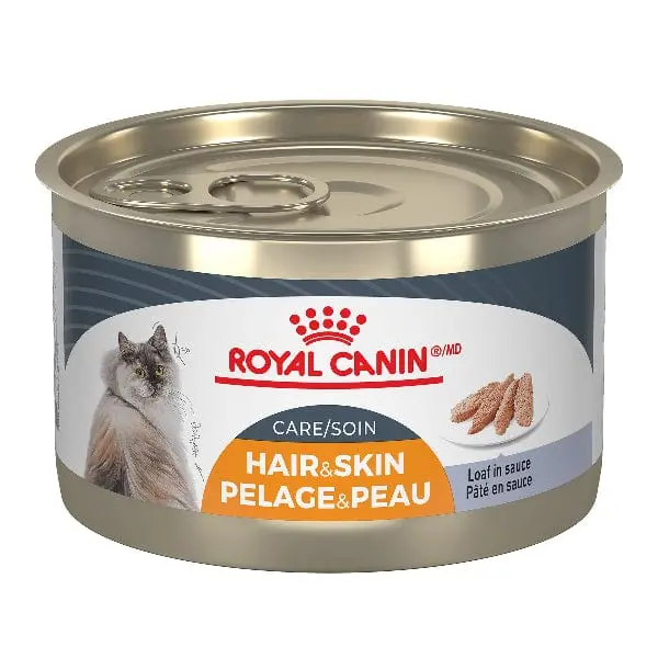 Royal Canin Hair & Skin Care Loaf In Sauce Canned Cat Food, 145G 1