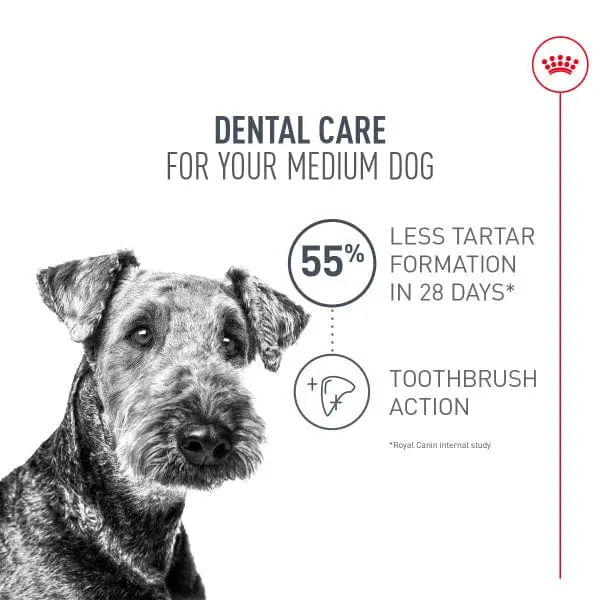 Royal Canin Medium Adult Dental Care Dry Dog Food, 28Lb 2