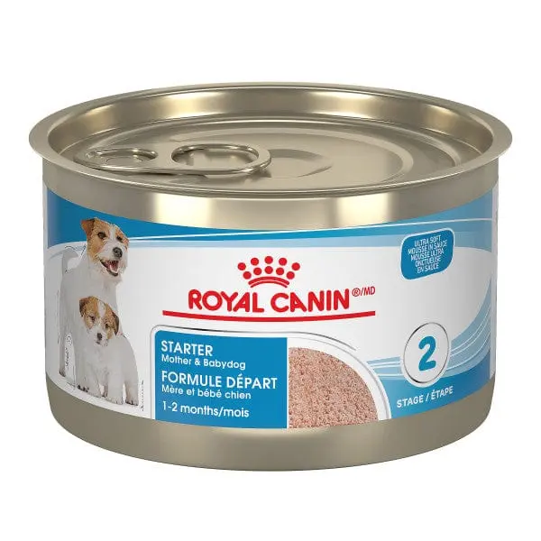 Royal Canin Starter Mother & Babydog Mousse In Sauce Canned Dog Food, 145G 1