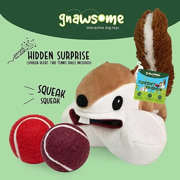 Gnawsome Forest Friends; Large Squirrel 1