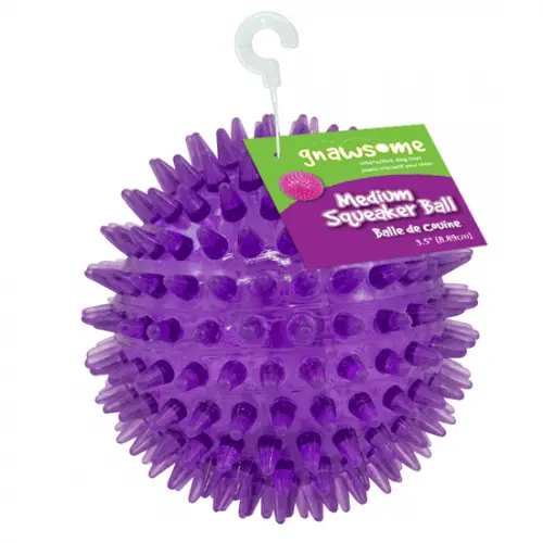 Gnawsome Medium Squeaker Ball 1