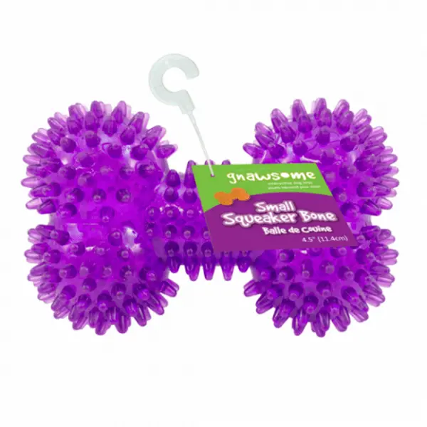 Gnawsome Small Squeaker Bone 1