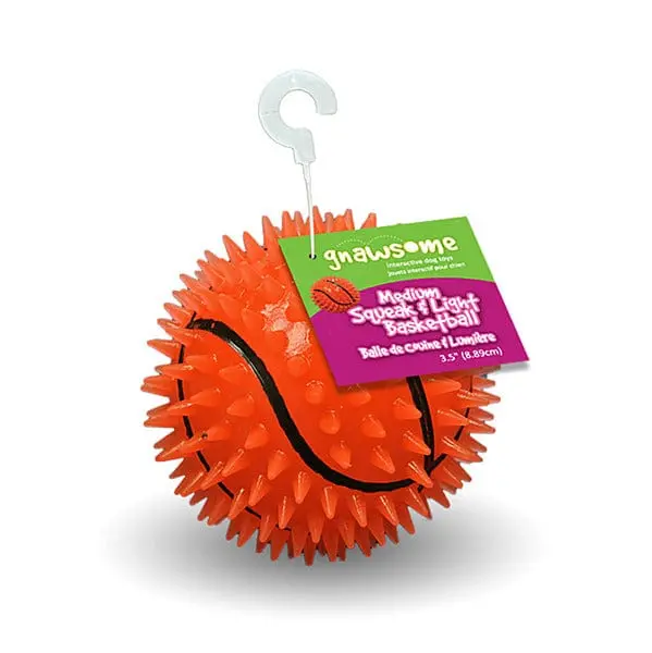 Gnawsome Squeak & Light Basketball 1