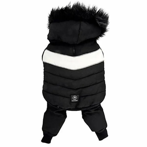 Silver Paw 2 Piece Snow Suit 1