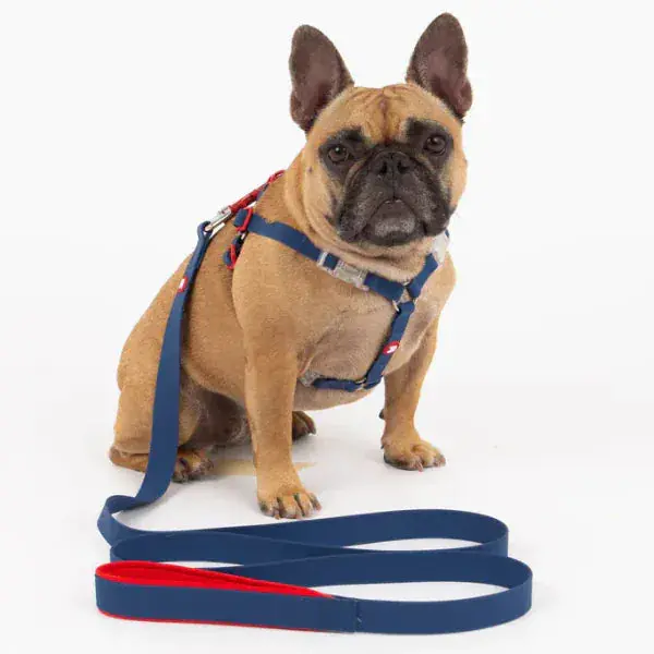 Silver Paw Maximus Silicone Navy Dog Leash 1