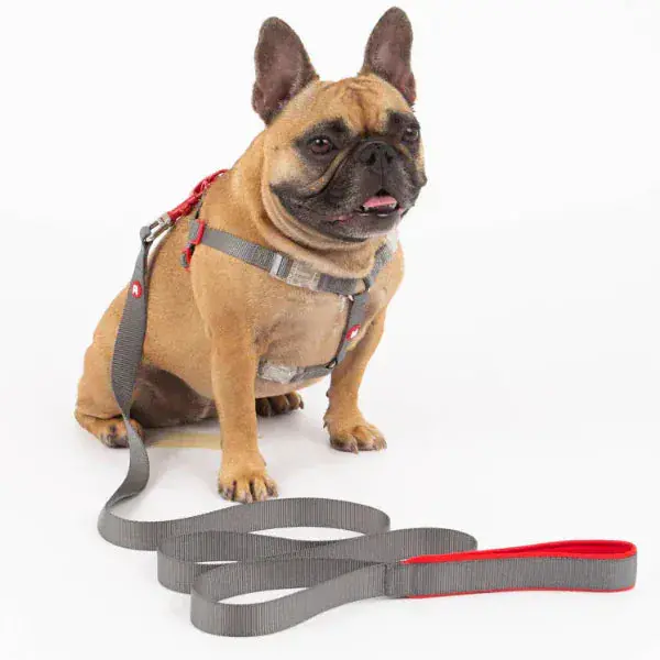 Silver Paw Maximus Webbing Grey Dog Leash 1