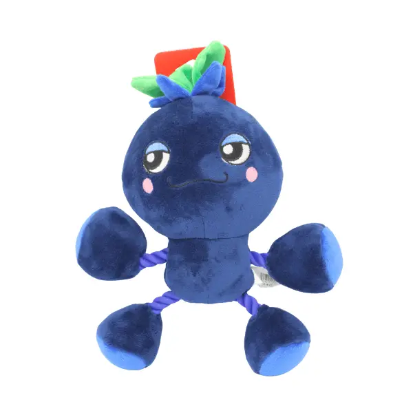 Silver Paw Ropez Ropefruit Blueberry Dog Toy 1