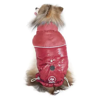 Silver Paw Stylist Winter Jacket 1