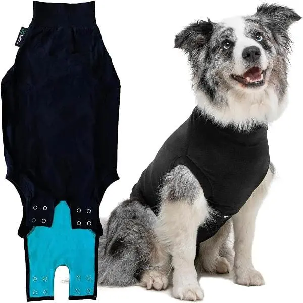 Suitical Recovery Suit For Dogs 1