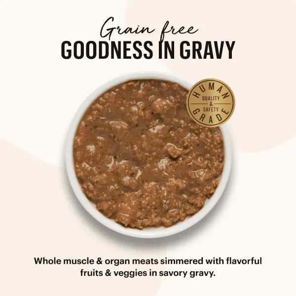 The Honest Kitchen Minced Grain Free Turkey Recipe Wet Cat Food; Case Of 12 (Special Order Item) 2