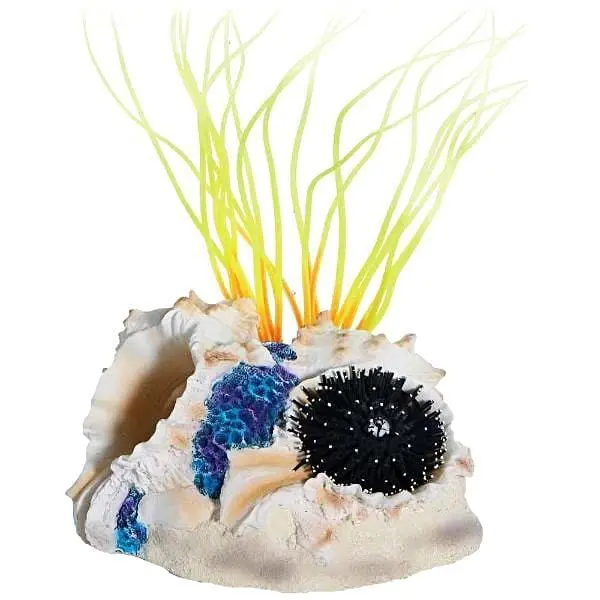 Sea Flower Tahiti Shell Small Anemone Red 1