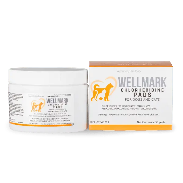 Wellmark Chlorhexidine Pads For Dogs & Cats (Special Order Item) 1