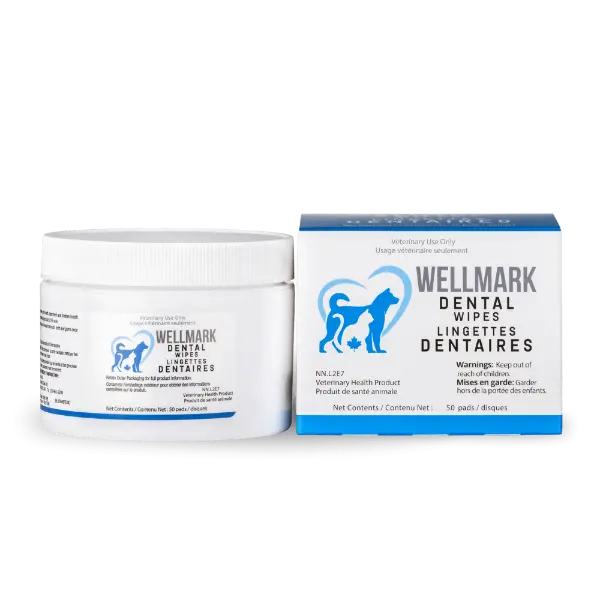 Wellmark Dental Wipes For Dogs & Cats (Special Order Item) 1