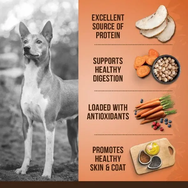 Zoë Dog Medium Breed Turkey, Chickpea & Sweet Potato Dry Dog Food, 5Kg 2