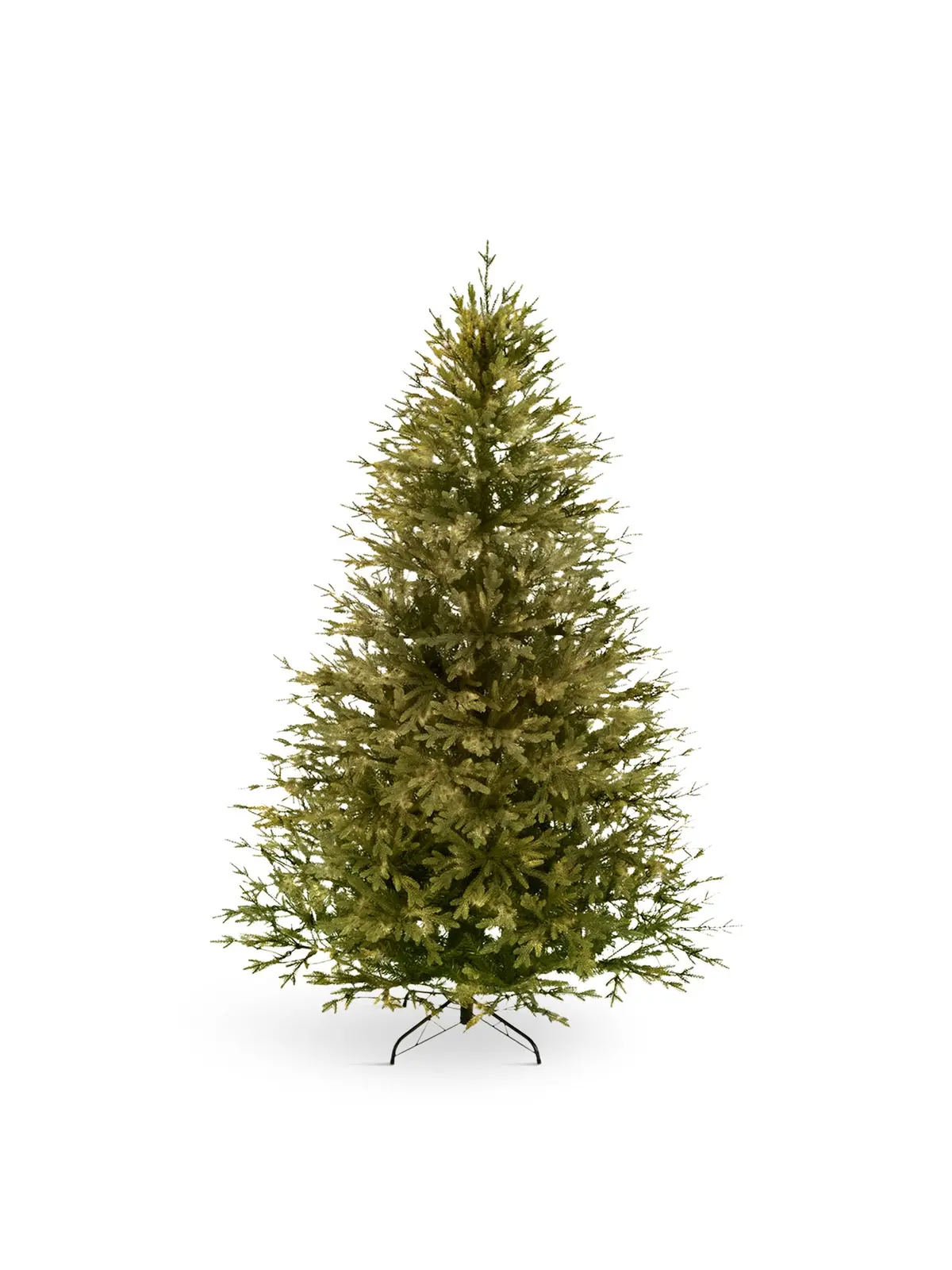 Rocky Mountain Pine Christmas Tree 6Ft 1